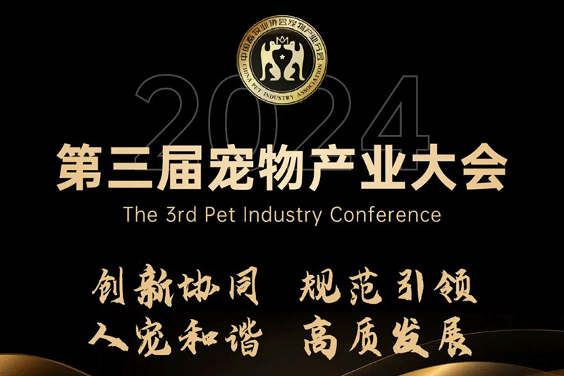 福貝寵食黃莉：時代變軌，用創新贏得市場，用洞察找到增長路徑